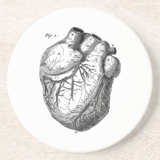 Dessous De Verre En Grès Rétros coeurs cardiaques d'anatomie de coeur (Devant)