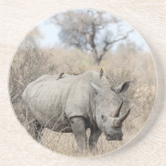 Dessous De Verre En Grès Rhino blanc (Devant)