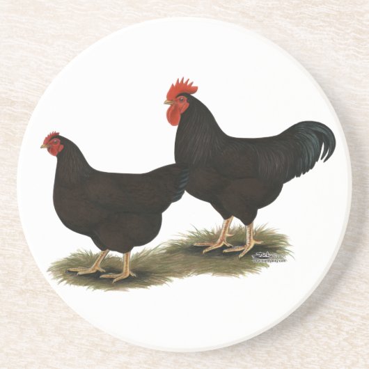 Dessous De Verre En Grès Rhode Island Red Bantams (Devant)