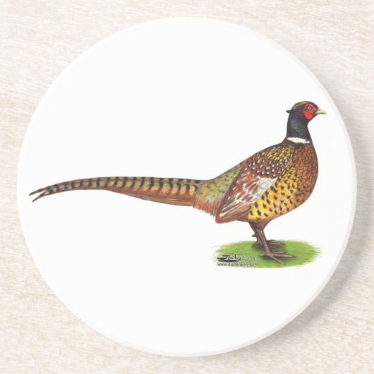Dessous De Verre En Grès Ringneck Pheasant Rooster (Devant)