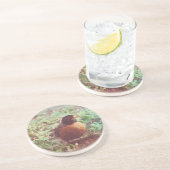 Dessous De Verre En Grès Robin (Côté)