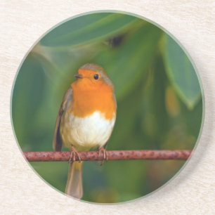 Dessous De Verre En Grès Robin de Noël