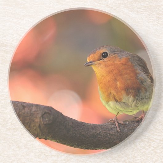 Dessous De Verre En Grès Robin sur une branche (Devant)