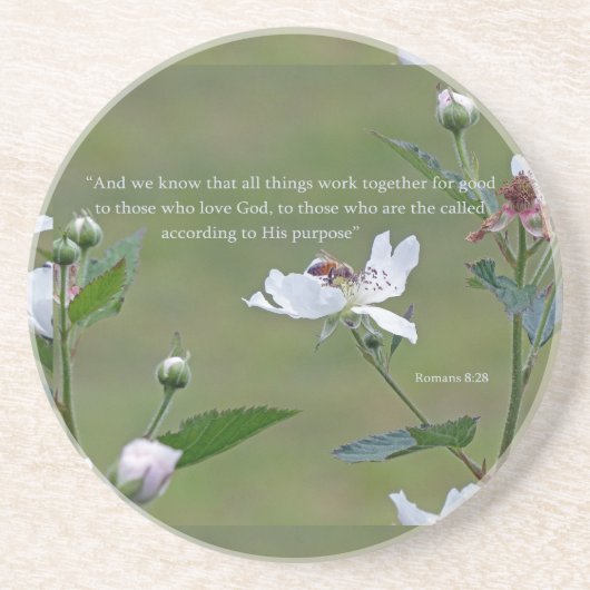 Dessous De Verre En Grès Romains 8:28 (Devant)