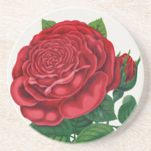 Dessous De Verre En Grès Rose Print Rochester Lithographing and Printing Co