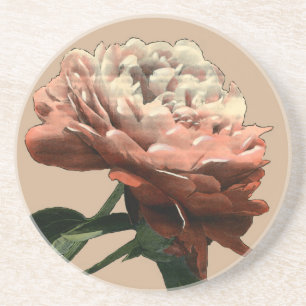 Dessous De Verre En Grès Rose rouge rouge avec les accents blancs