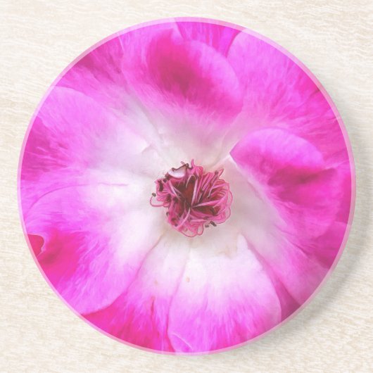 Dessous De Verre En Grès Roses d'iceberg rose (Devant)