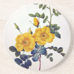 Dessous De Verre En Grès Roses sauvages jaunes, Pierre Joseph Redouté