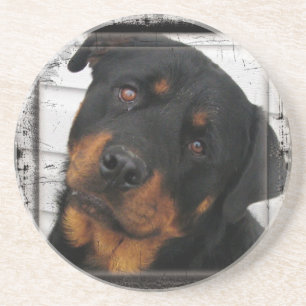 Dessous De Verre En Grès Rottweiler personnalisé