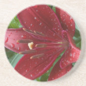 Dessous De Verre En Grès Rouge asiatique Lilly (Devant)