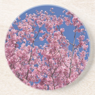 Dessous De Verre En Grès Sakura Cherry Blossoms Into The Blue