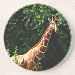 Dessous De Verre En Grès Samburu Giraffe