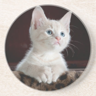 Dessous De Verre En Grès Sandstone Coaster lovers cats , for girls / gift 