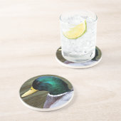 Dessous De Verre En Grès Sandstone photo de canard à colard vert (Côté)