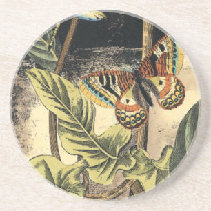 Dessous De Verre En Grès Scène foncée de nature par le studio de vision