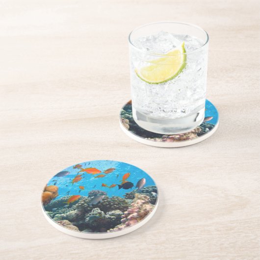 Dessous De Verre En Grès Scène sous-marine (Côté)