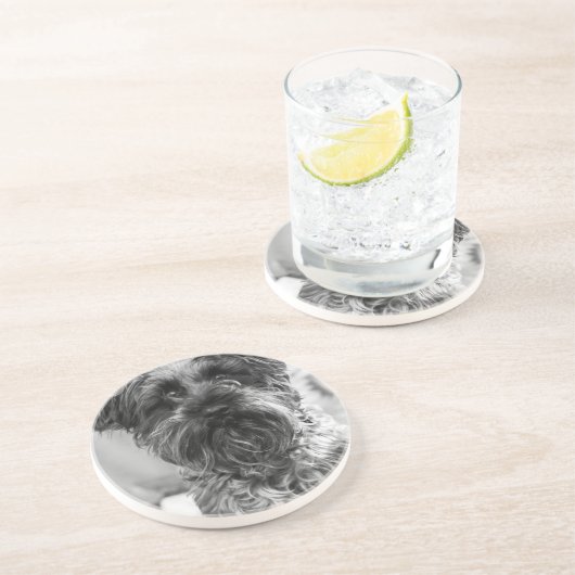 Dessous De Verre En Grès Schnauzer miniature (Côté)