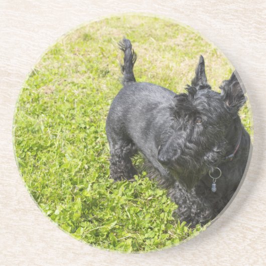 Dessous De Verre En Grès Scottish Terrier (Devant)
