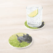 Dessous De Verre En Grès Scottish Terrier (Côté)