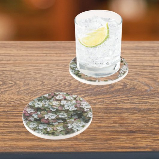 Dessous De Verre En Grès Sedum Spathulifolium Succulent Plantes Floral