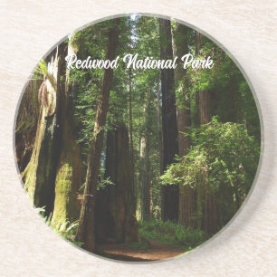 Dessous De Verre En Grès Séquoias et fougères au parc national de Redwood