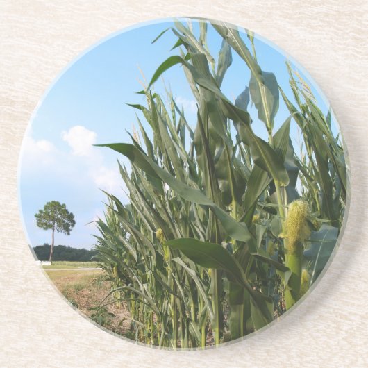 Dessous De Verre En Grès Série agricole : champ de maïs en GA (Devant)