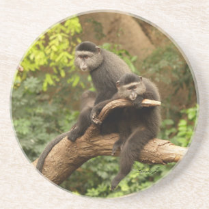 Dessous De Verre En Grès Série animale — Paire de singes
