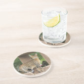 Dessous De Verre En Grès Série de chats — Serval Savannah Chat—Dessous de v (Côté)