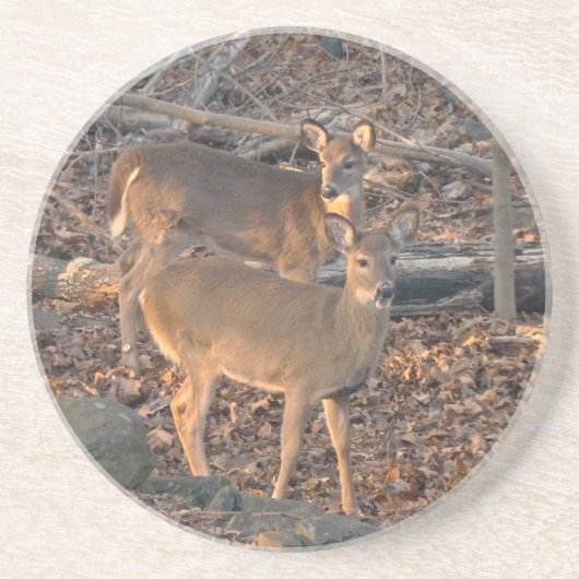 Dessous De Verre En Grès Série Young Whitetail Deer (Devant)