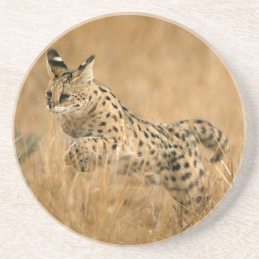 Dessous De Verre En Grès Serval (Leptailurus Serval) sautant (Devant)