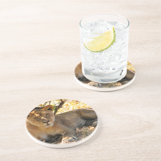 Dessous De Verre En Grès Siesta Time (Côté)