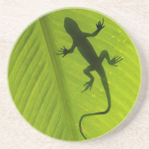 Dessous De Verre En Grès Silhouette de Gecko