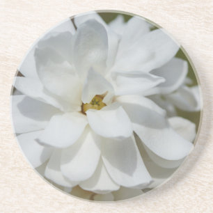 Dessous De Verre En Grès Silky Magnolia