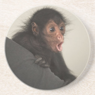 Dessous De Verre En Grès Singe araignée à face rouge Ateles paniscus)