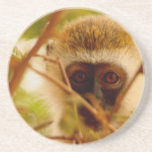 Dessous De Verre En Grès Singe Cheeky. (Devant)