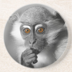 Dessous De Verre En Grès Singe de Mangabey de bébé
