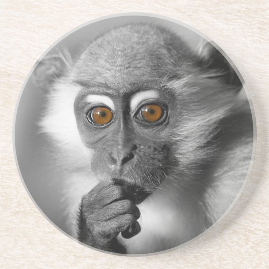 Dessous De Verre En Grès Singe de Mangabey de bébé (Devant)