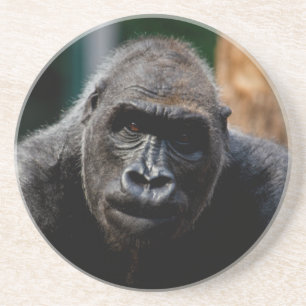 Dessous De Verre En Grès Singe Primate