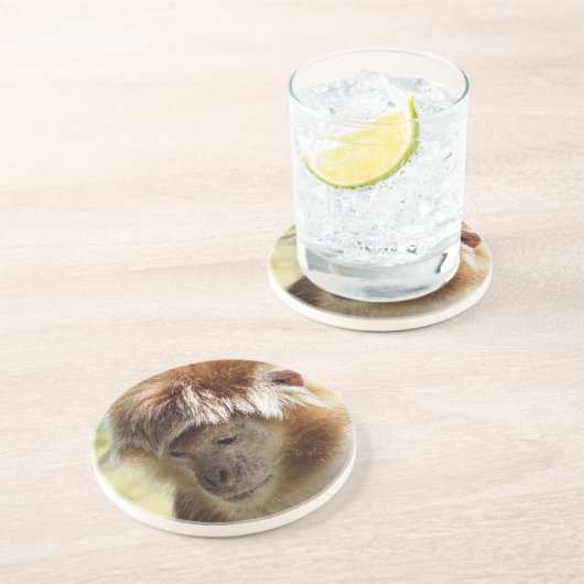 DESSOUS DE VERRE EN GRÈS SINGES (Côté)