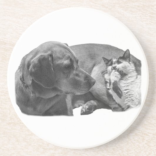 Dessous De Verre En Grès Sip Break avec Pals (Devant)