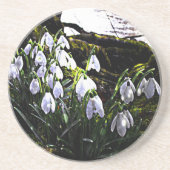 Dessous De Verre En Grès Snowdrops (Devant)