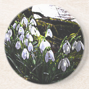 Dessous De Verre En Grès Snowdrops
