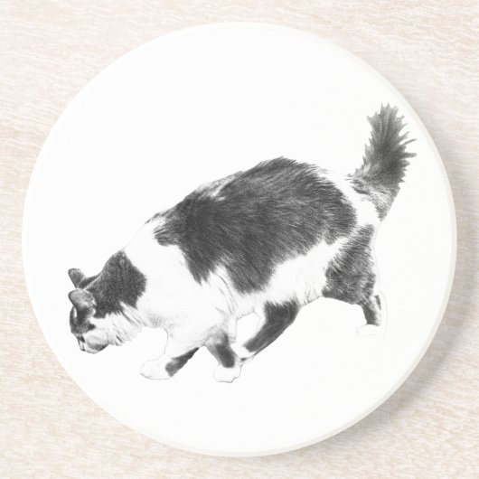 Dessous De Verre En Grès Sondage de chats dans les ombres d'automne (Devant)