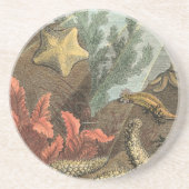 Dessous De Verre En Grès Sous la mer (Devant)