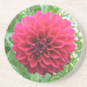 Dessous De Verre En Grès Sous-tasses en grès Red Dahlia