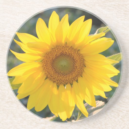 Dessous De Verre En Grès Sous-verre en grès de tournesol ensoleillé (Devant)