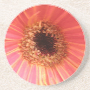 Dessous De Verre En Grès Sous-verres de fleurs de Gerbera Daisy