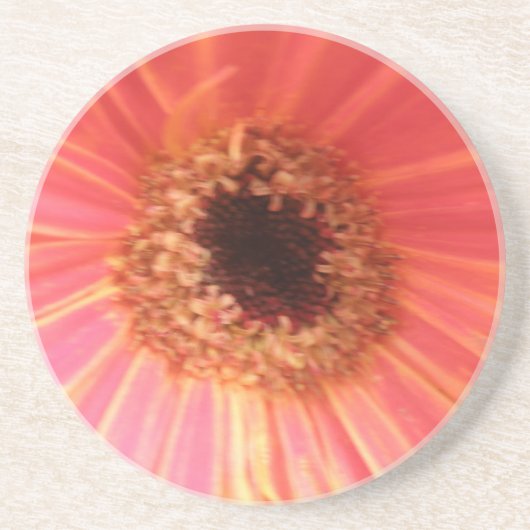 Dessous De Verre En Grès Sous-verres de fleurs de Gerbera Daisy (Devant)