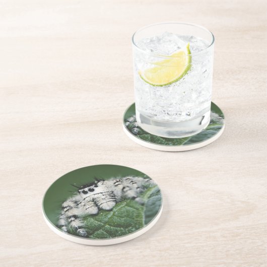 Dessous De Verre En Grès Spider de la Métaphide (Côté)