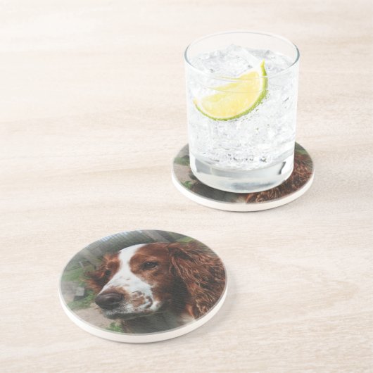 Dessous De Verre En Grès Springer Spaniel Chien Art (Côté)